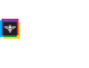 ERSTE stiftung